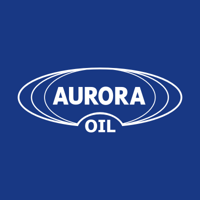 Николай Иванов Генеральный директор ЗНГО "Аврора-Нефть"