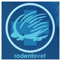 Сайт ветеринарного врача Казакова Артёма