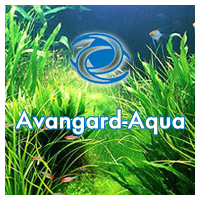 Группа компаний "Авангард-Аква"